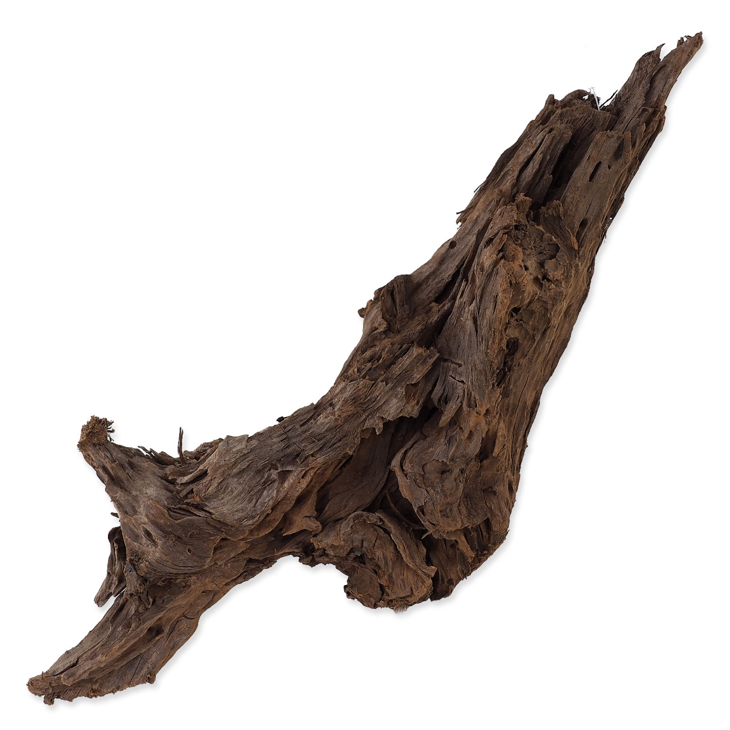 Kořen REPTI PLANET Driftwood Bulk L 1 ks