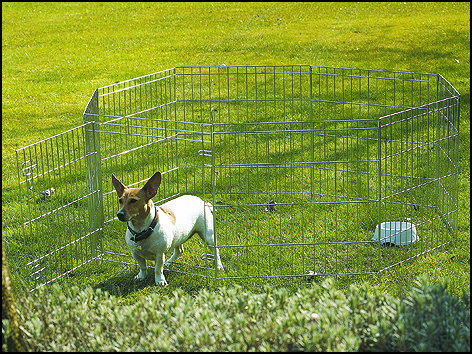 Ohrádka SAVIC Dog park 2, 1 ks