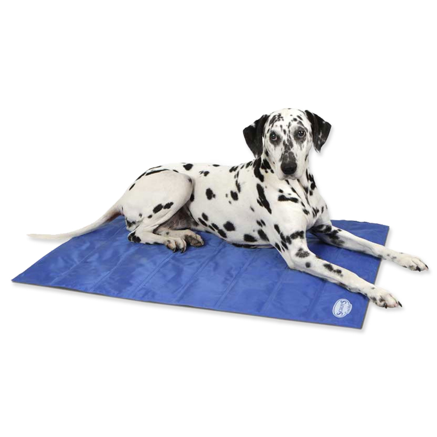 Podložka SCRUFFS Self-Cooling Mat modrá L